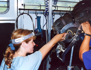 Dr. Shannon Lynch